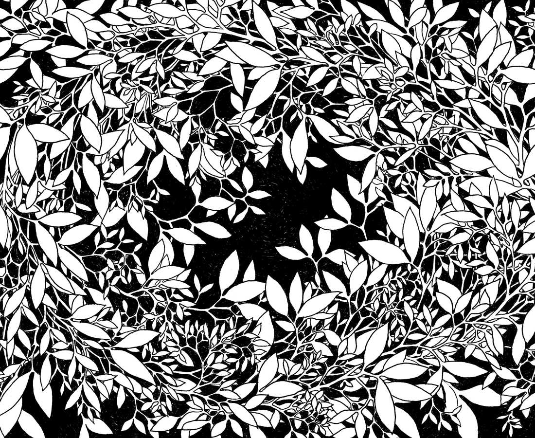 undefined preview image